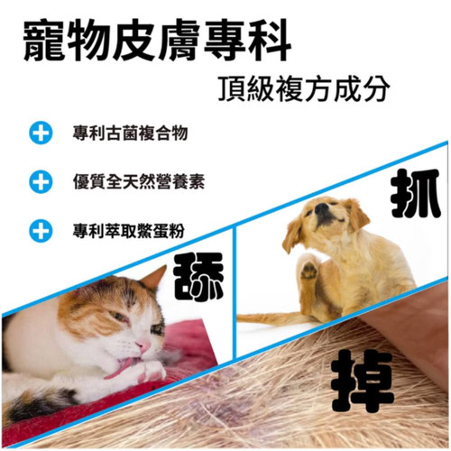皮毛2.jpg