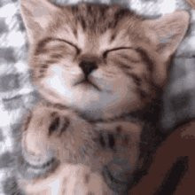 GwBJBp9WsAIu7ZT.jpg