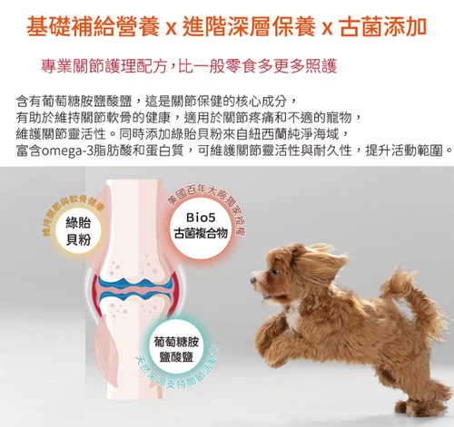 軟錠4.png