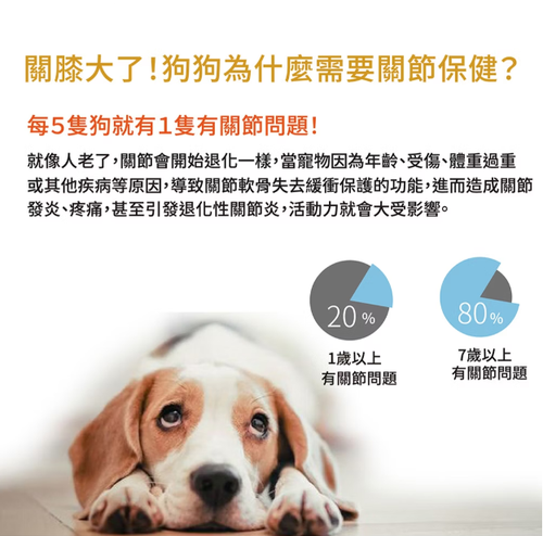 軟錠2.png
