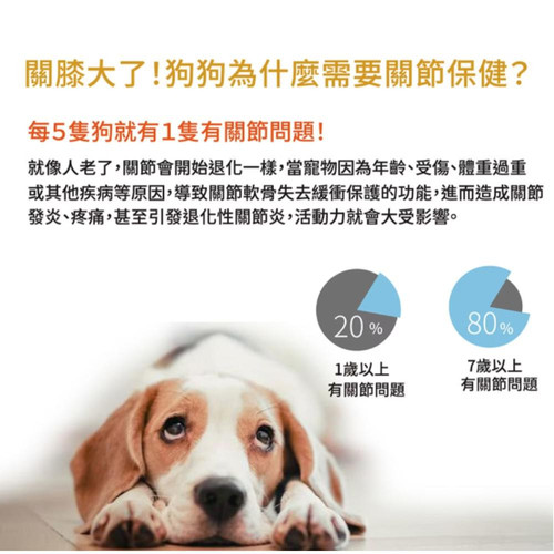軟錠2.jpg