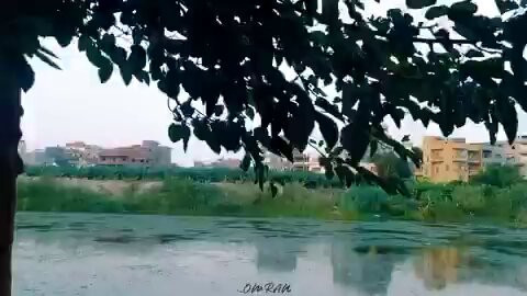 lq9vggesPbMGs2Gy.jpg
