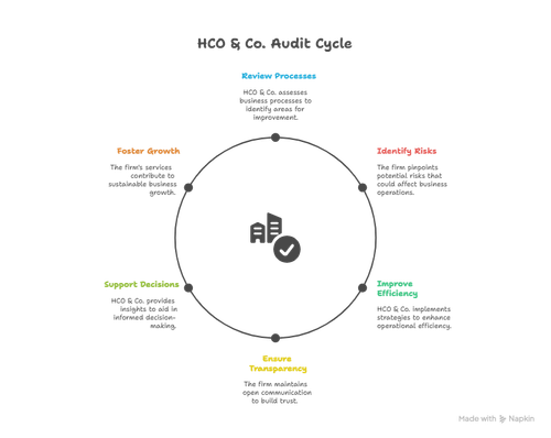 Reliable Internal Audit Firm Services by HCO & Co..png