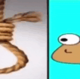 IMG 6971.gif