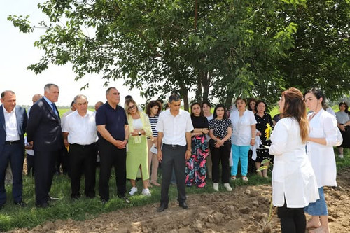 518400128 1145014144326102 7423490433806991281 n.jpg?stp=dst jpg p526x395 tt6& nc cat=103&ccb=1 7& n.jpg