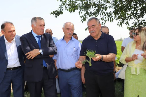 518455016 1145014170992766 8512275922569468792 n.jpg?stp=dst jpg p526x395 tt6& nc cat=103&ccb=1 7& n.jpg