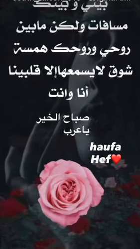 eXYi9jE6i2BU d1h.jpg