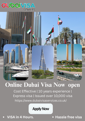 Online Dubai Visa Now open (2).png
