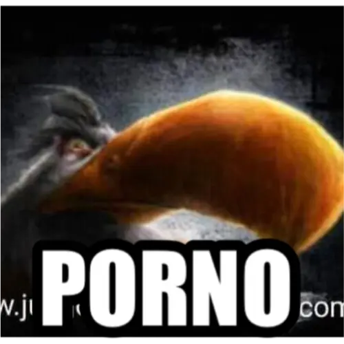 46x4n4.webp
