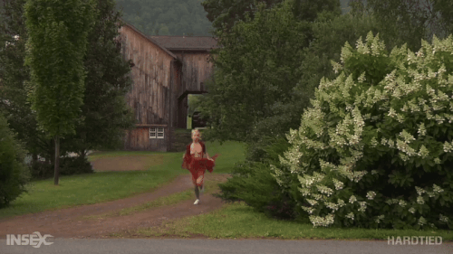 mezgif 5c07f8a1319936.gif
