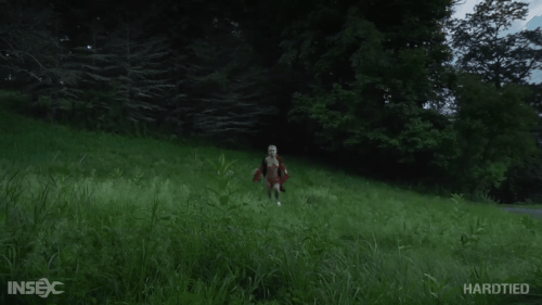 mezgif 59a90f9519c7cd.gif
