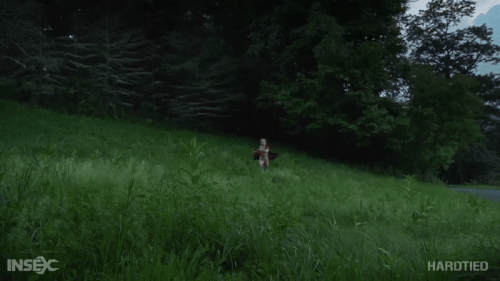 mezgif 5404a8ef96a3de.gif