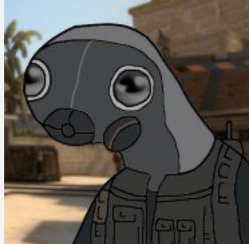 source.jpg