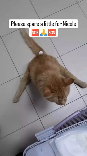 WTkw Dxyx tz4fvr.jpg