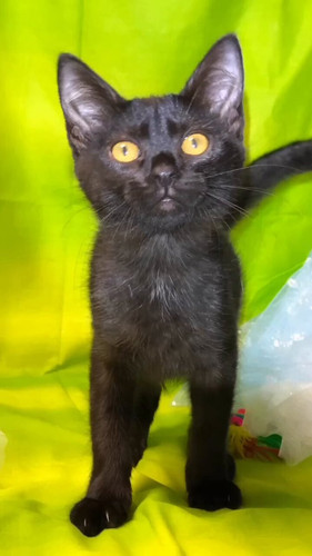 bBqyQJkyIqpr4z2A.jpg
