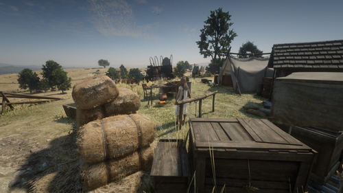 Red Dead Redemption 2 Screenshot 2025.07.16 22.12.03.72.png