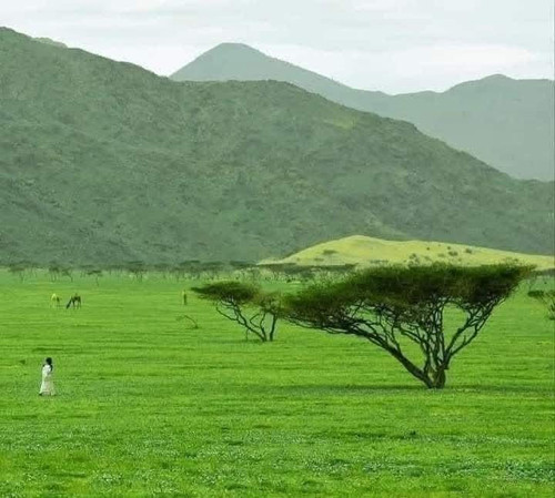 Gv 0LrBWMAAKLLm.jpg