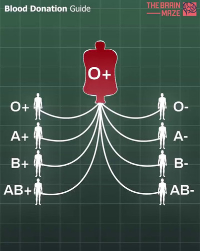UcRthLONCE Oe9Bl.jpg