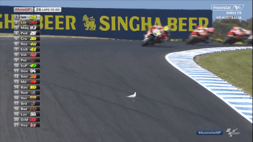 youtube video gif.gif