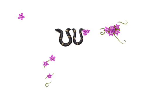 к2842.png