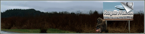 Piece Banner.jpg