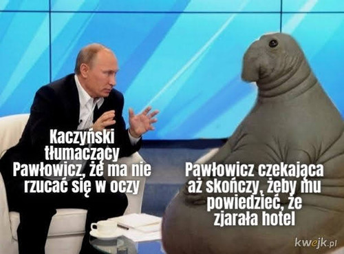 Y7AJG4C9z5KeYfDj.jpg