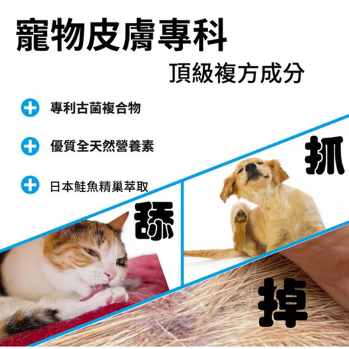 皮毛2.jpg