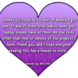 adopt pets heart