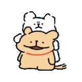 mmexport1752718284070.gif
