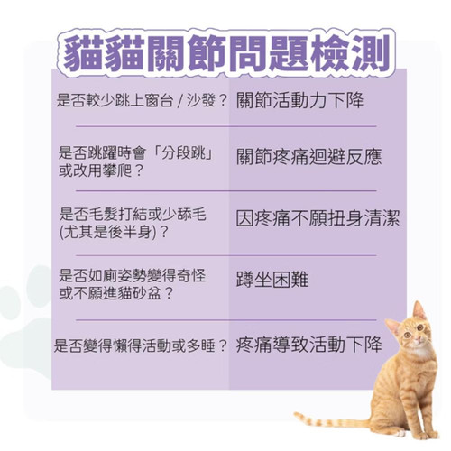 關節3.jpg