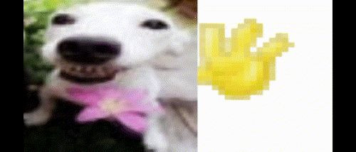 Untitled video Made with Clipchamp (4).jpg