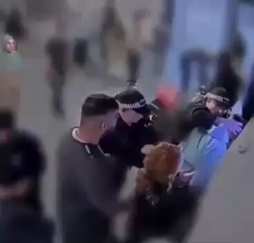 NQxqoi0DA3ujGilv.jpg