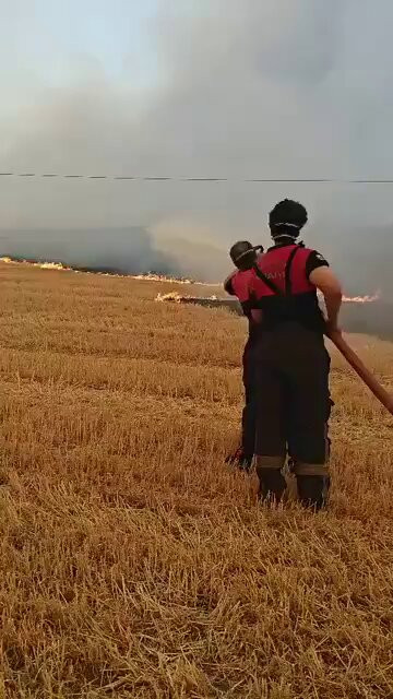 uU9NL s30desJzvO.jpg