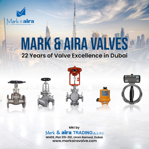 Leading Valve Supplier in Dubai for Precision Flow Control.jpg