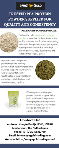 Trusted Pea Protein Powder Supplier for Quality and Consistency.jpg