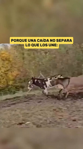 ocax2VmYdwS0XvWR.jpg