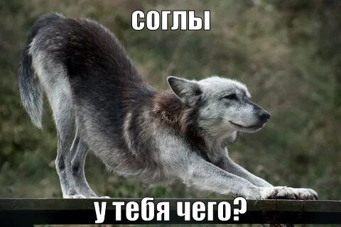blob.jpg