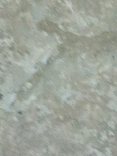 IMG 20250715 200800 329.jpg