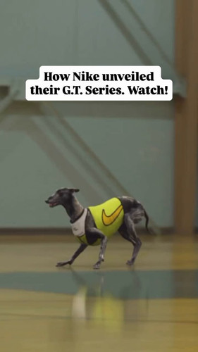 j0F0 eQ07 DN DPg.jpg