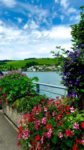 UaePA2l9 5VB0NJ4.jpg