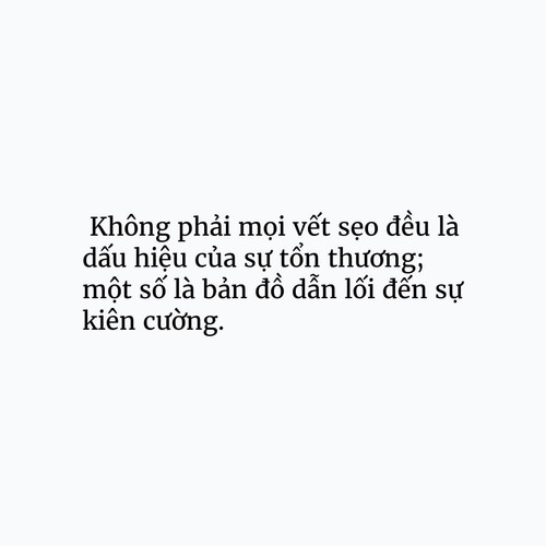 44f77b23a505.jpg