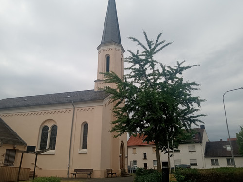 IMG 20250714 100720251.jpg