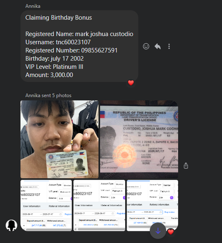 Screenshot 2025 07 17 004114.png