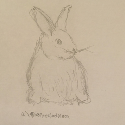 0503BCED 5E2E 47F3 8EE5 C8DB10F5043F