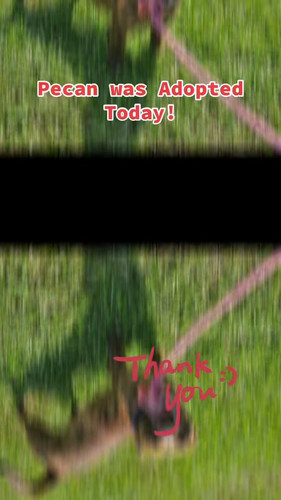 GItFRa RmKCZ9K J.jpg