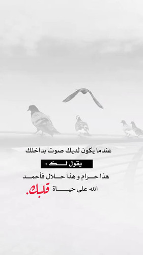 9 fsprujZdQN fMl.jpg