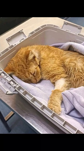 WaV8 zcYjHCU VP1.jpg