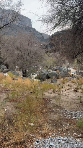 tdoDz4gFRyc wn u.jpg