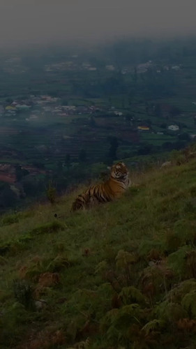 xESQAtRrK2i PUbX.jpg