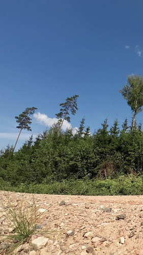 y qkXQtKkqoBCg8T.jpg